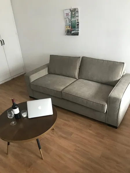 Photo de la colocation à Paris : Canapé dans salon F2 Paris 13eme