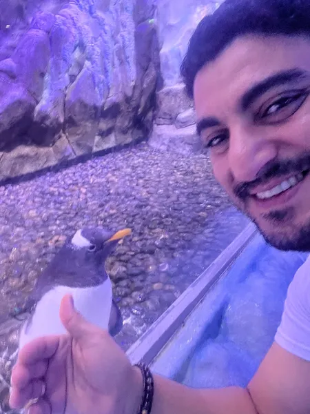 Photo de la colocation à Paris : Vivacité 