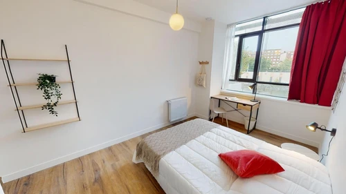 Photo de la colocation : 108 Barbusse 104 - Chambre 7