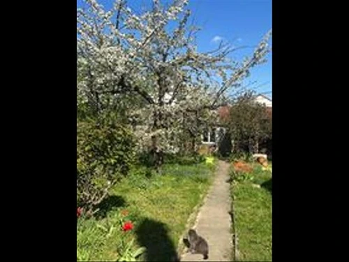Photo de la colocation à Vitry-sur-Seine : Grande chambre dans maison avec Jardin 