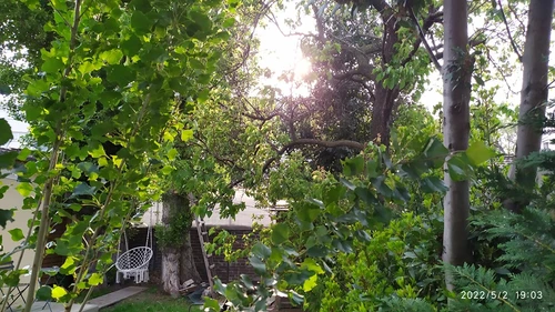 Photo de la colocation à Bobigny : Colocation dans maison avec jardin