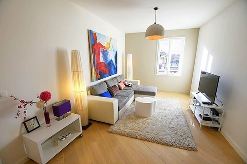 Photo de la colocation à Villeurbanne : Appartement 2 pièces 44m² / 500 Euros