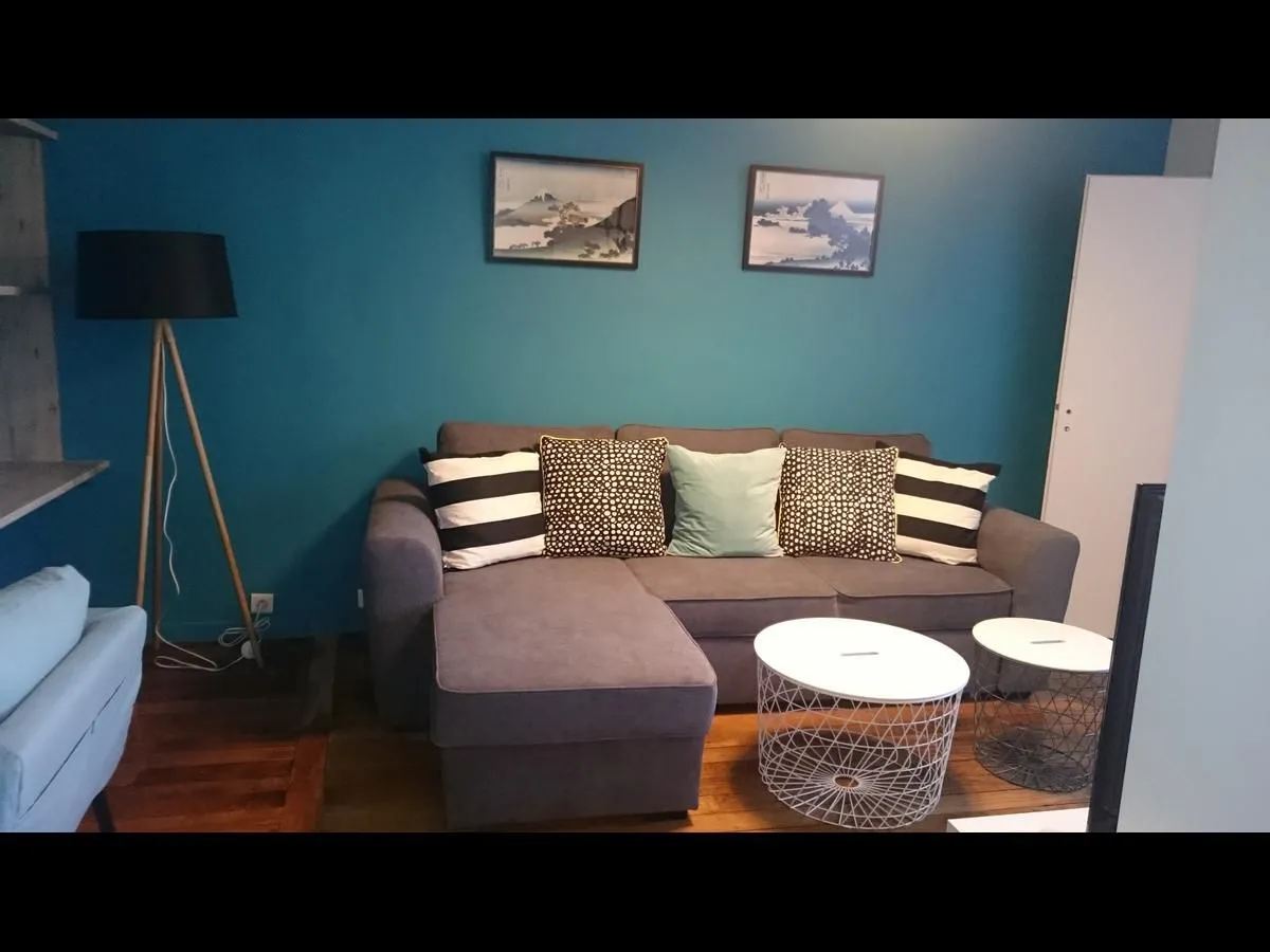 Photo de la colocation à Toulouse : Magnifique appartement en colocation