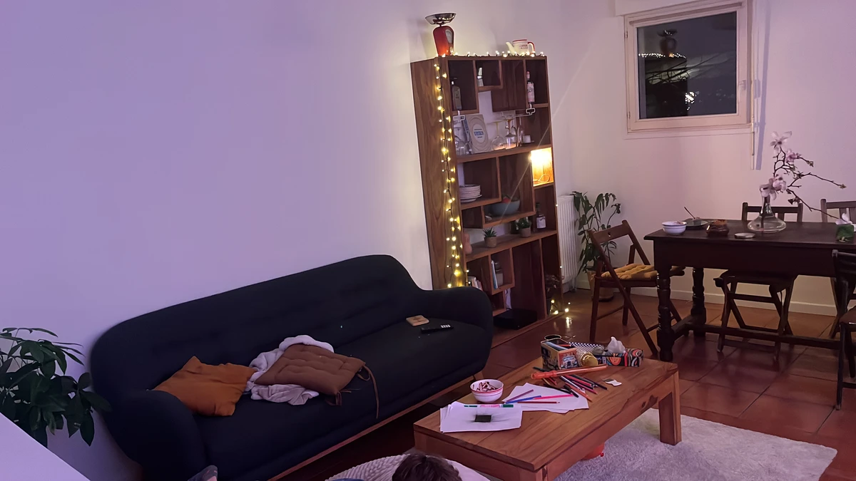 Photo de la colocation à Montreuil : Colocation dans une grande maison à Montreuil