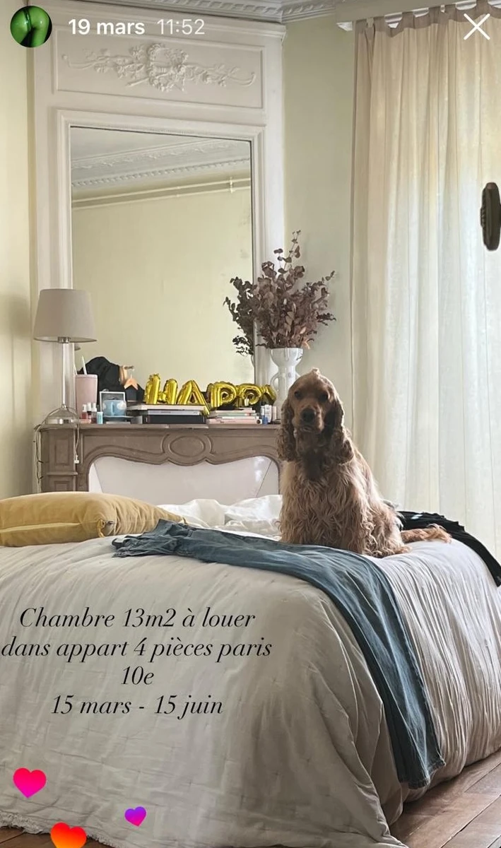 Photo de la colocation à Paris : Belle chambre meublée lumineuse