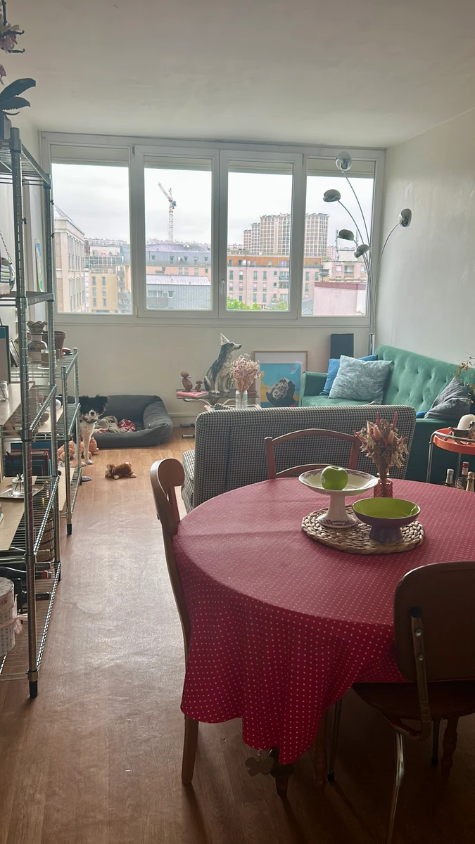 Photo de la colocation à Malakoff : Coloc lumineuse à Malakoff 🐶