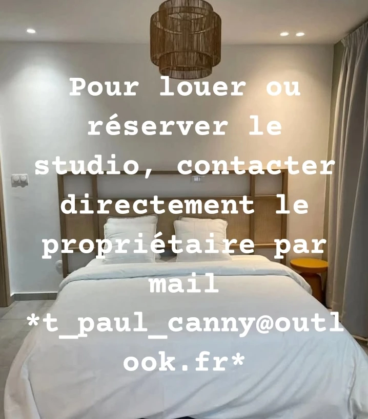 Photo de la colocation à Lyon : Studio rénové de 20m2 