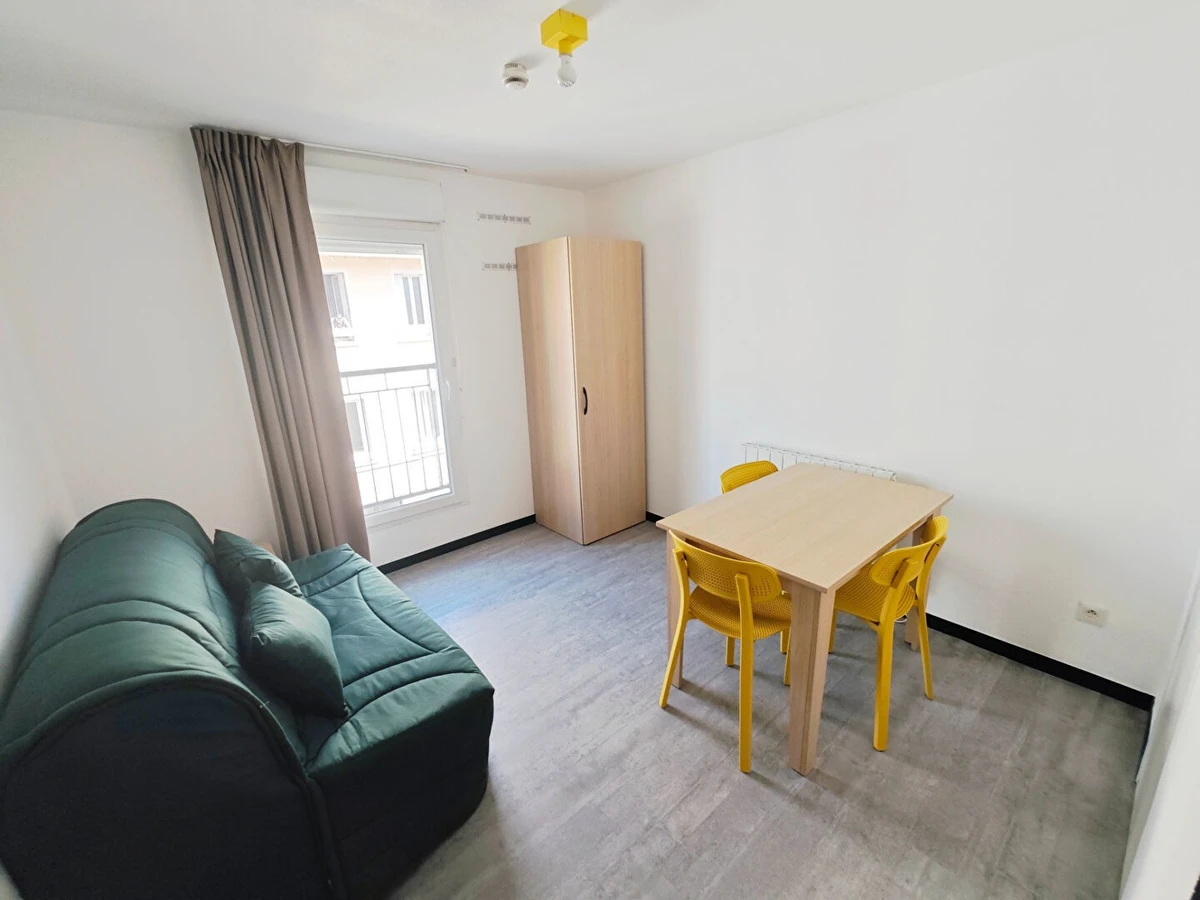 Photo de la colocation à Villeurbanne : Appartement meublé 1 pièce 18m²