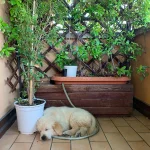 photo of Sofia